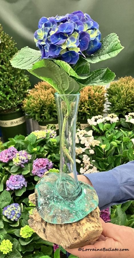 Molten Glass Vase with Hydrangea